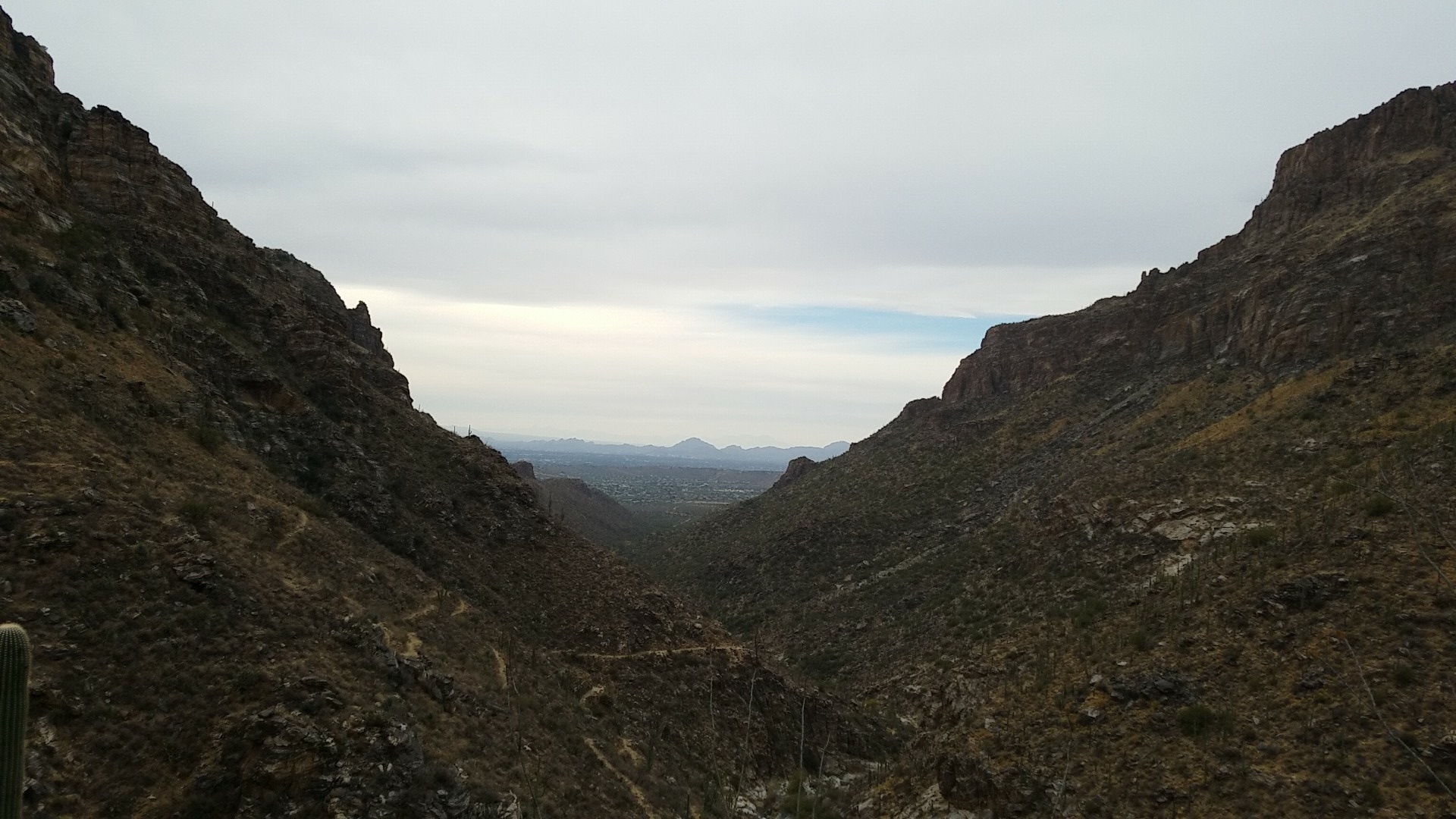 sabino canyon